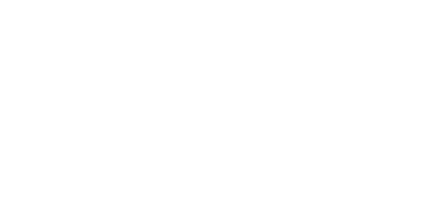 The Verge